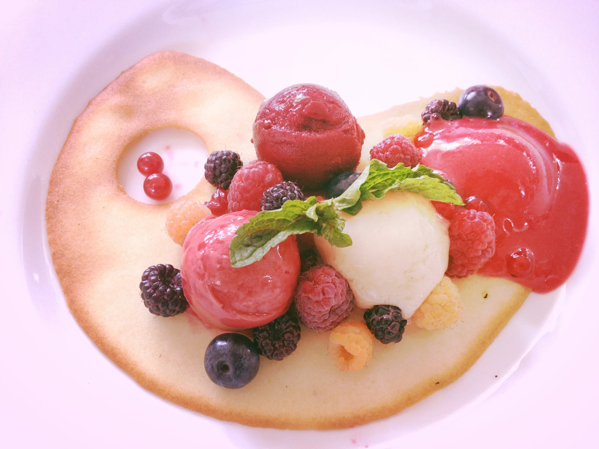 holiday sorbet // martha stewart omnimedia (nyc)