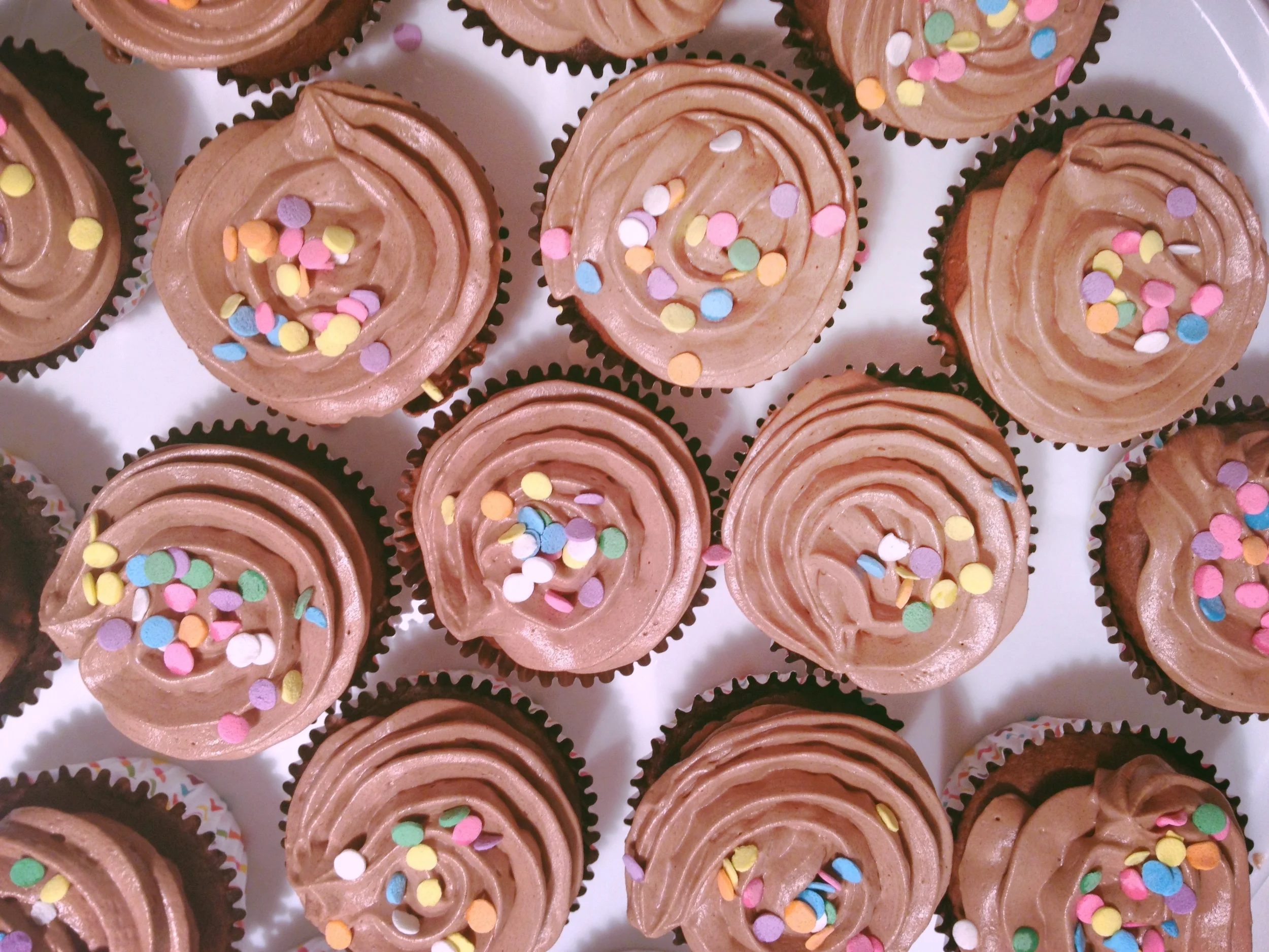 office cupcakes // nyc