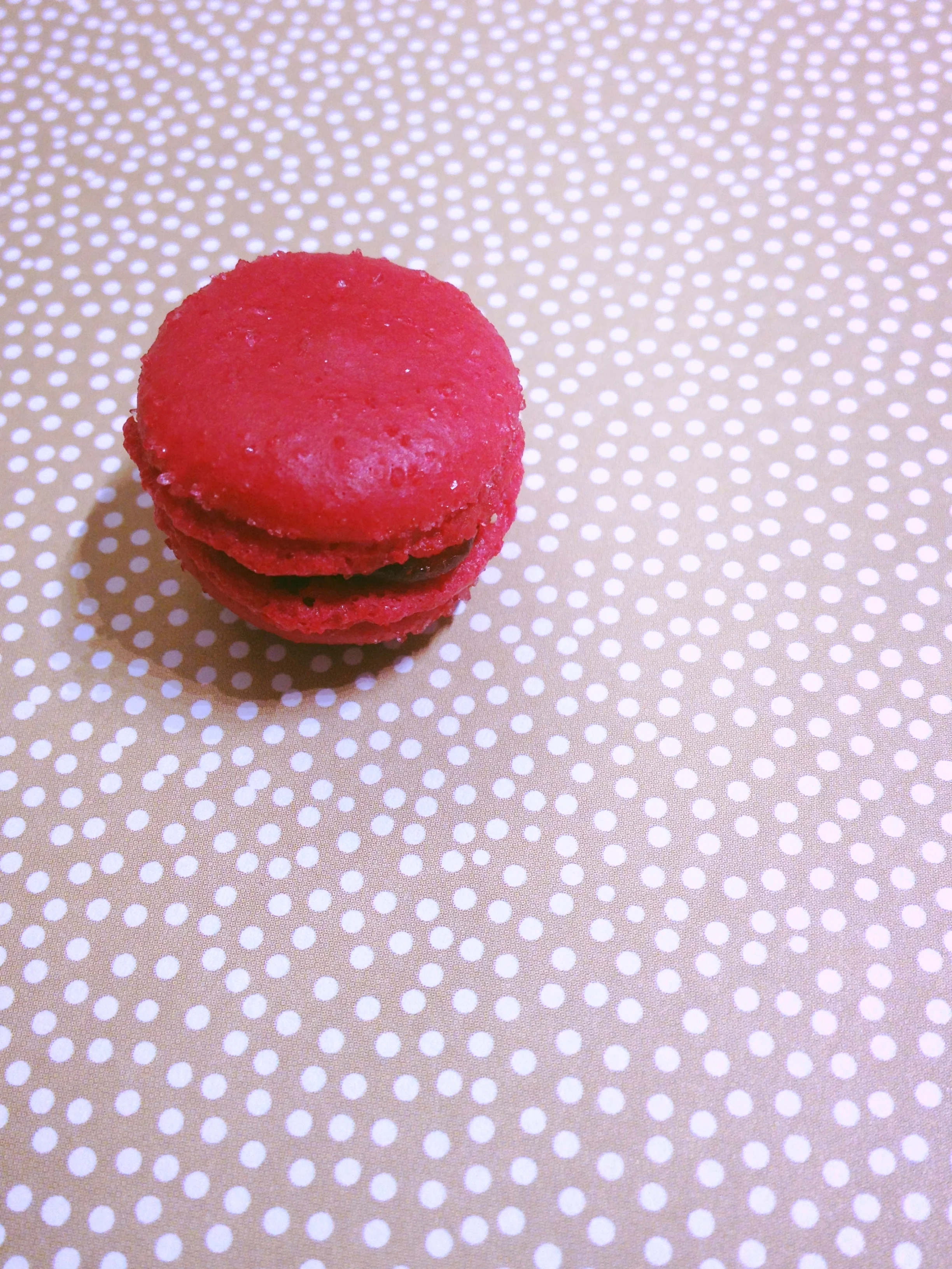 mini macaron // nyc