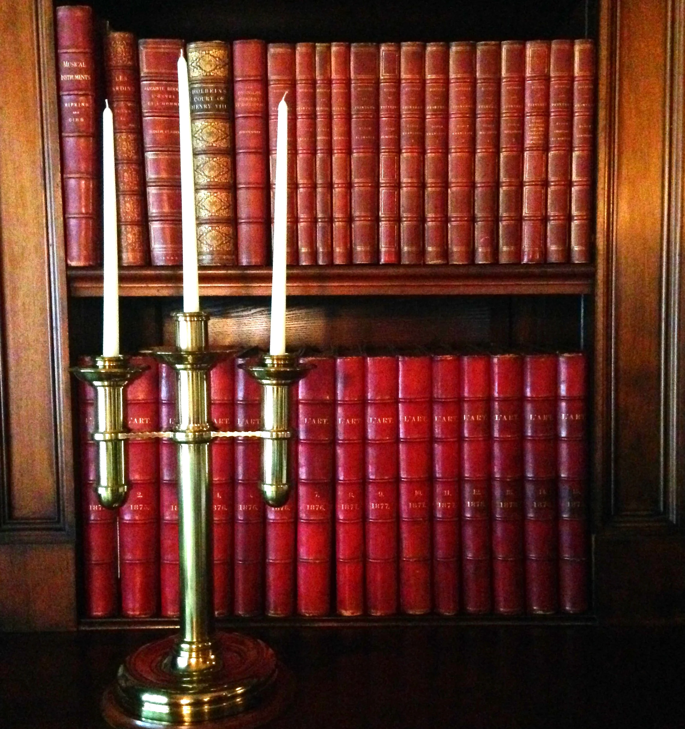 library at the Biltmore // Asheville, NC