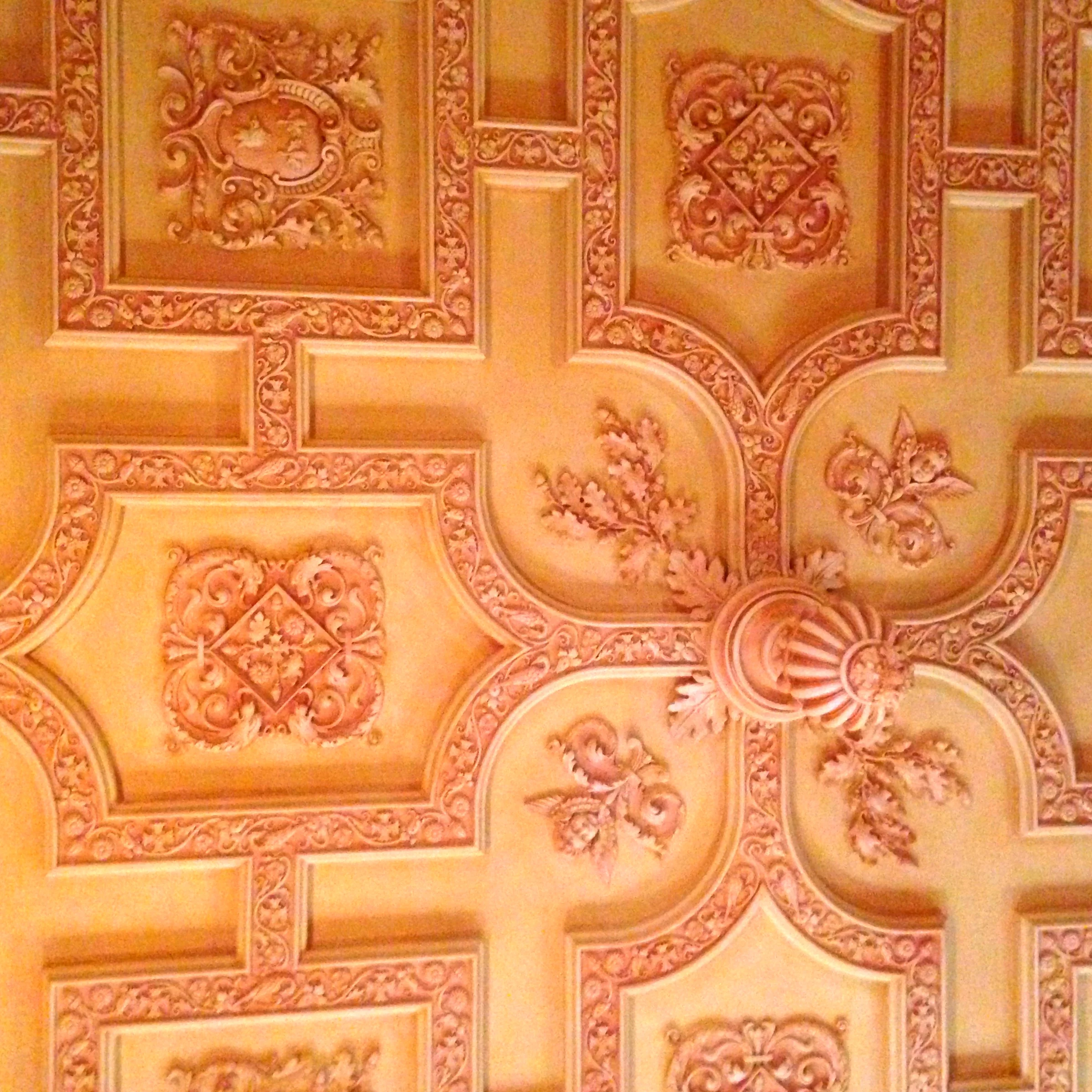 Looking up @ the Biltmore // Asheville, NC