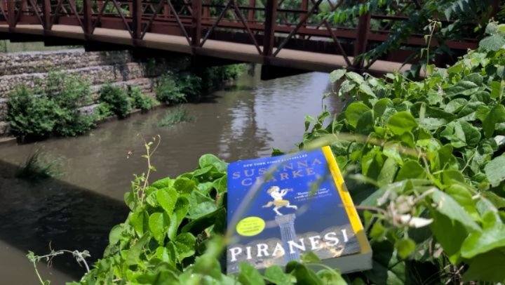 By early June, May's flowers from April's paltry shower among overactive weeds and underbrush over labyrinthine cracks and canals winding through the parched earth. cicadas so constant you forget they're there, a waving haze bringing tired malaise as