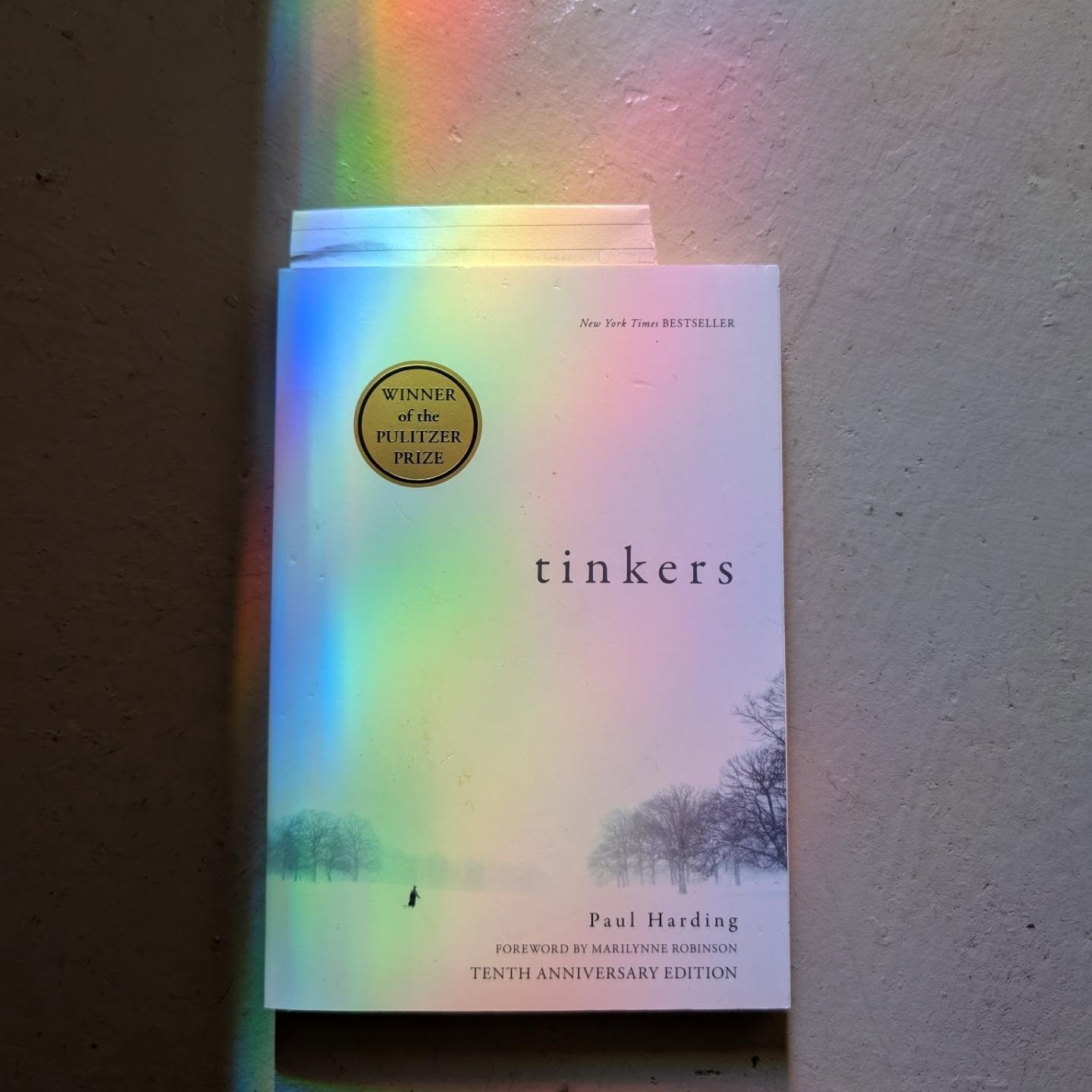 it's 2025 and time to thrive(?)! new year new you stop putting off all those things you've meant to do.

this JANUARY our inaugural @wordsjustwannahavefun 2025 book club pick is TINKERS by Paul Harding.

Other than it being recommended to me (and lon