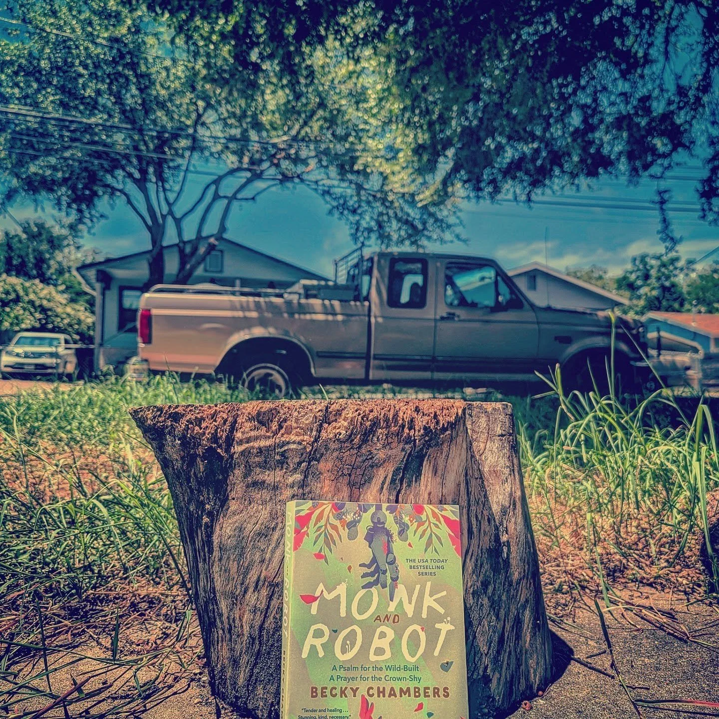 imagine that this fallow era of excessive cruelty and soul sucking shallowness and cancerous consumption from on high does actually all completely fall apart in the end. and there is the calming release of absolute collapse &mdash; dust to dust and s