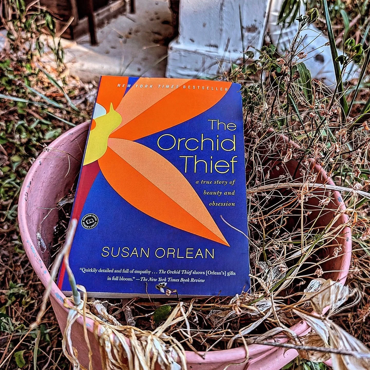 get booked this september @wordsjustwannahavefun because we're rolling our sleeves up and rolling out our waders. we're getting down and dirty and we're getting the flowers because swamp thieves rules everything around me / stream.

come see why char