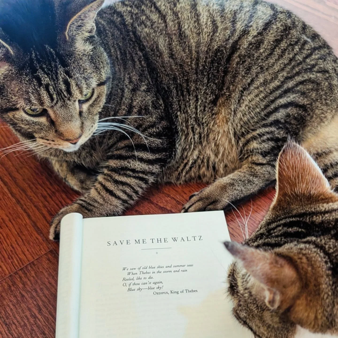 it's the first week of the year and already reality has me yearning for days gone by (gimme that auld lang syne, am i right?) &mdash; so, kicking off twenty twenty six is a @wordsjustwannahavefun book club ⏪r-r-r-r-r-r-r-rEWIND!⏪

come learn why hemi