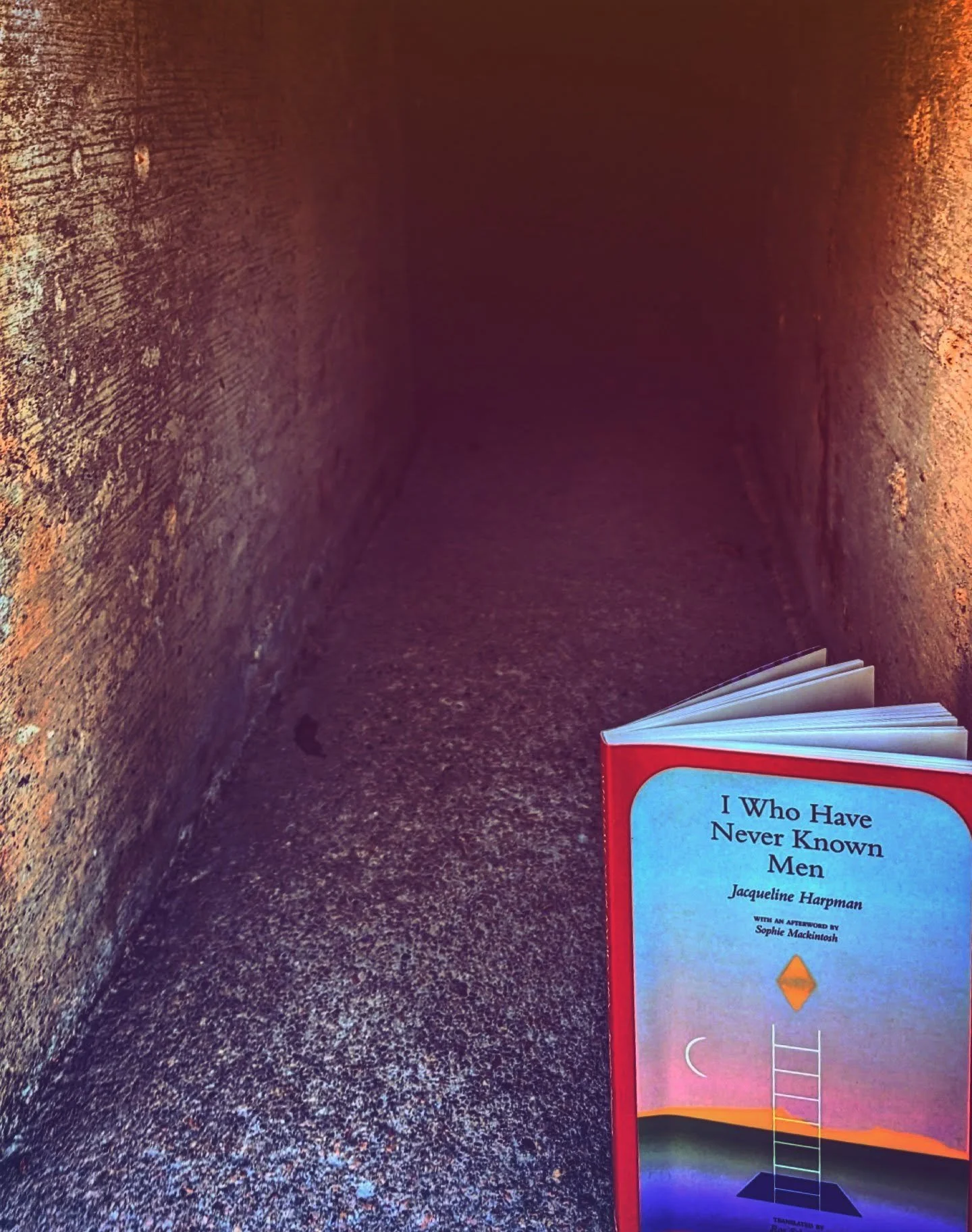 We're celebrating International Women's Month this BOOK CLUB MARCH by diving "Deep underground [where] thirty-nine women live imprisoned in a cage." (yikes!)

That's right, we're reading ̶t̶h̶e̶ ̶p̶r̶e̶q̶u̶e̶l̶ ̶n̶o̶v̶e̶l̶ ̶t̶o̶ ̶T̶h̶e̶ ̶U̶