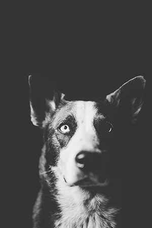 Loretta Nullam sit amet nisi condimentum erat iaculis auctor. Class aptent taciti sociosqu ad litora torquent per conubia nostra, per inceptos himenaeos. Lorem ipsum dolor sit amet, consectetur adipiscing elit. Suspendisse nec congue purus.