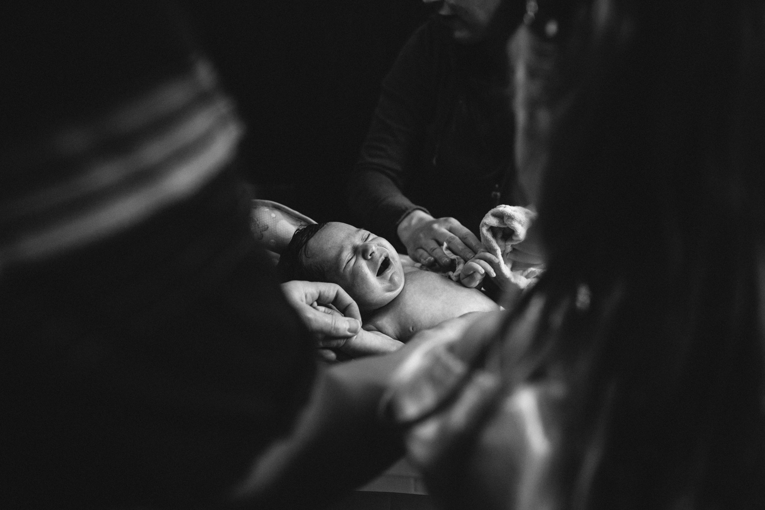 mmp_family_portfolio-1071.jpg