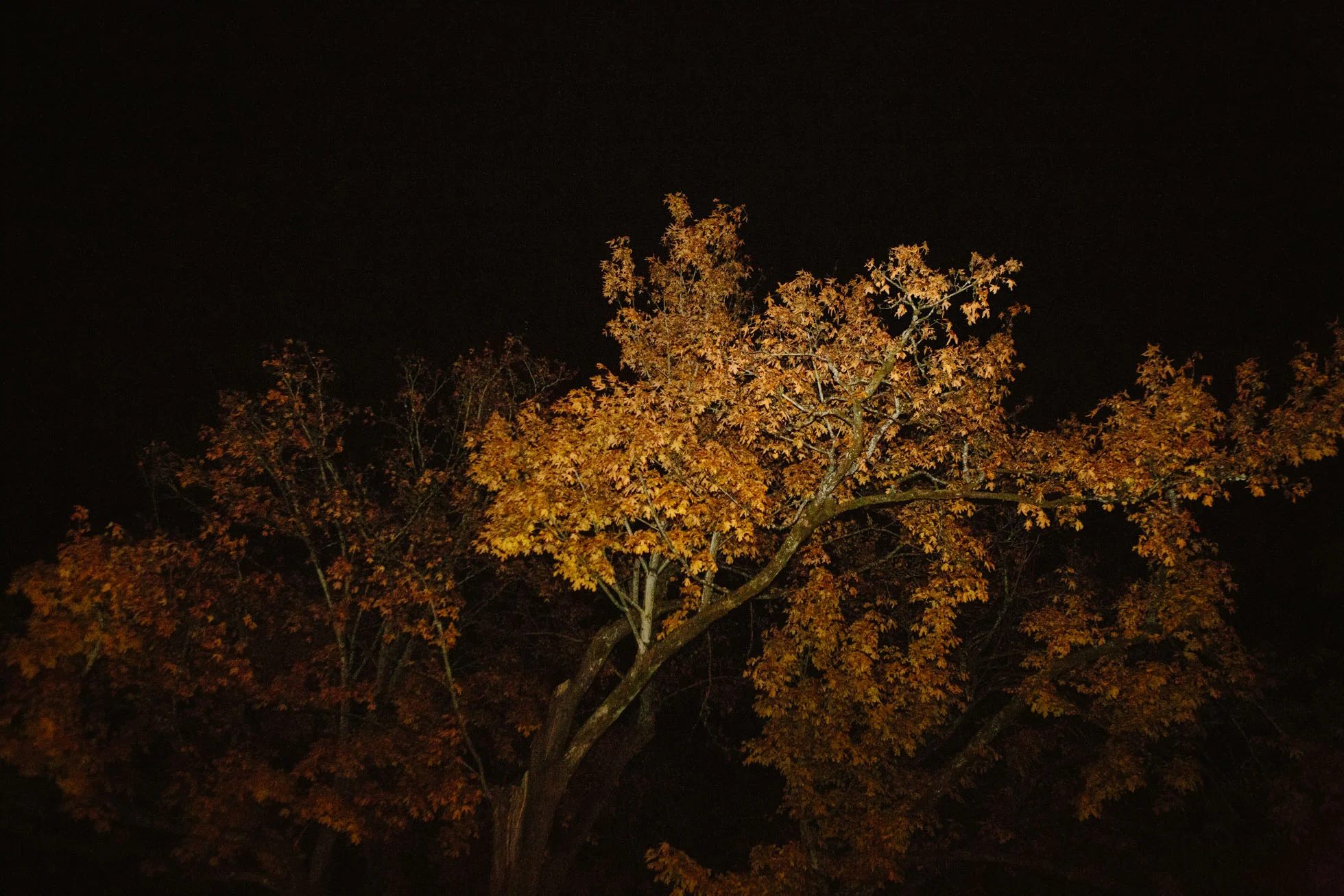 mbw_10_17_web-222.jpg