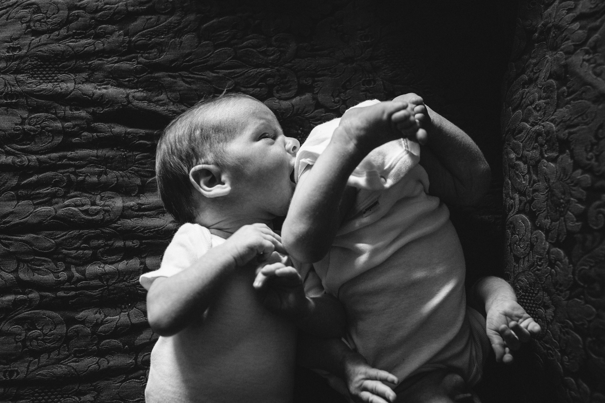 newborn_twins_6_17_web-12.jpg