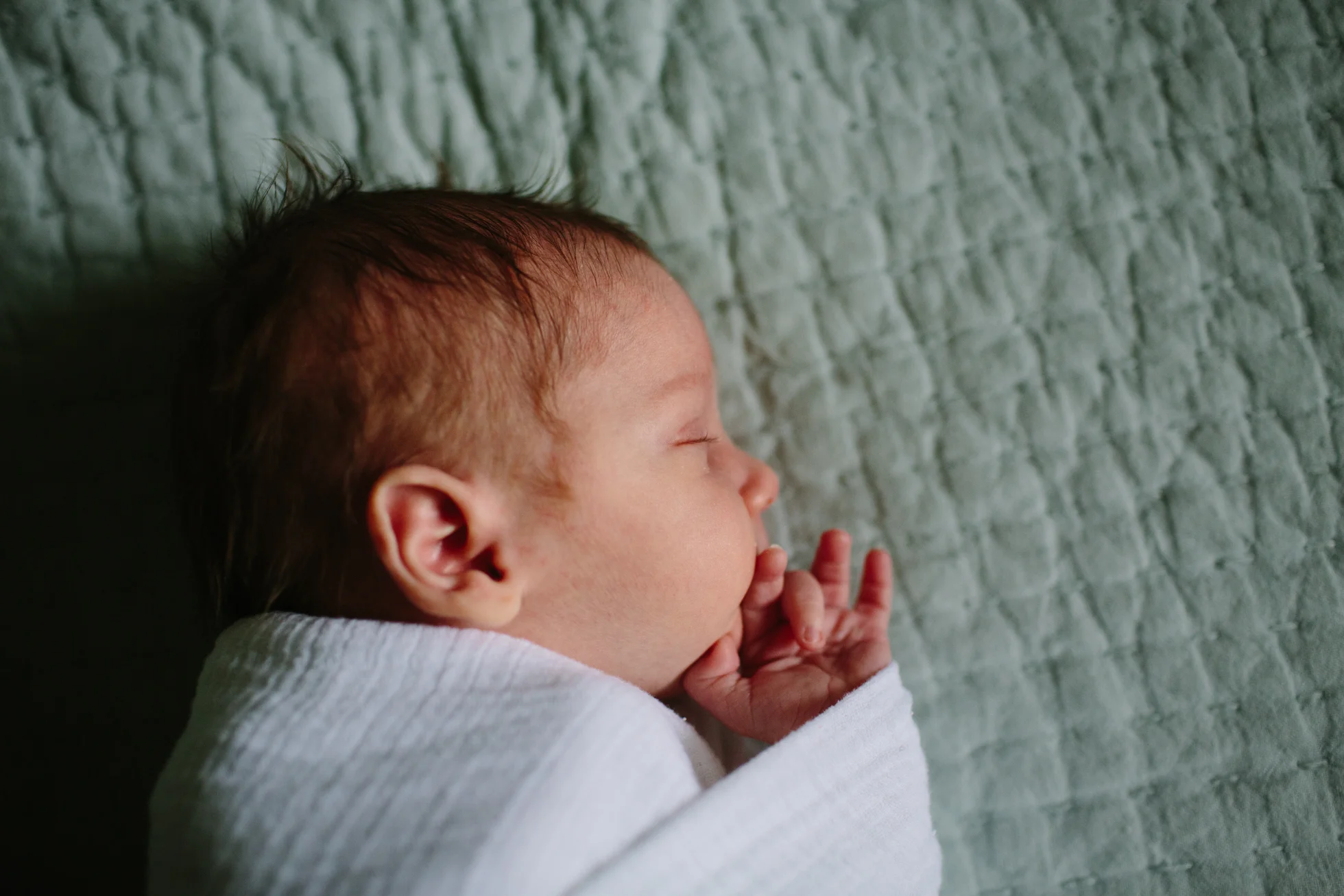 newborn_twins_6_17_web-162.jpg