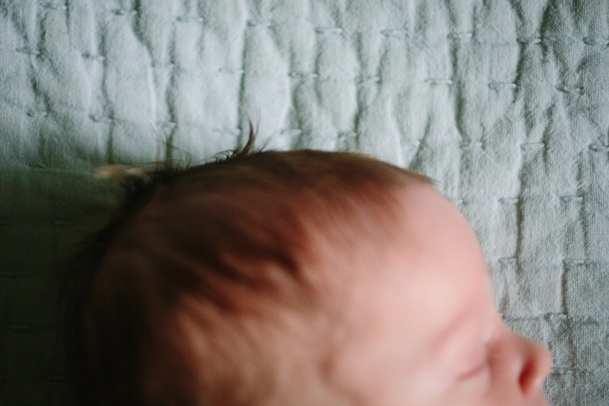 newborn_twins_6_17_web-169.jpg