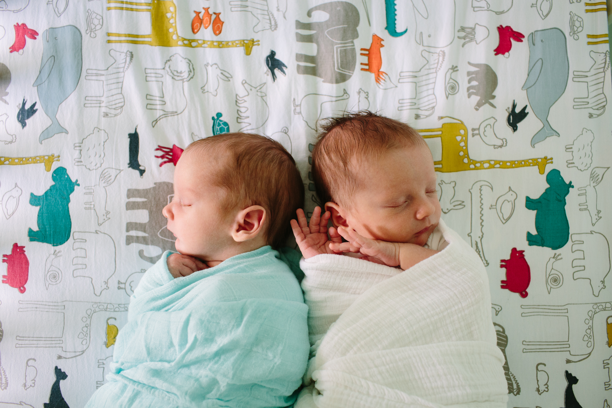 newborn_twins_6_17_web-174.jpg