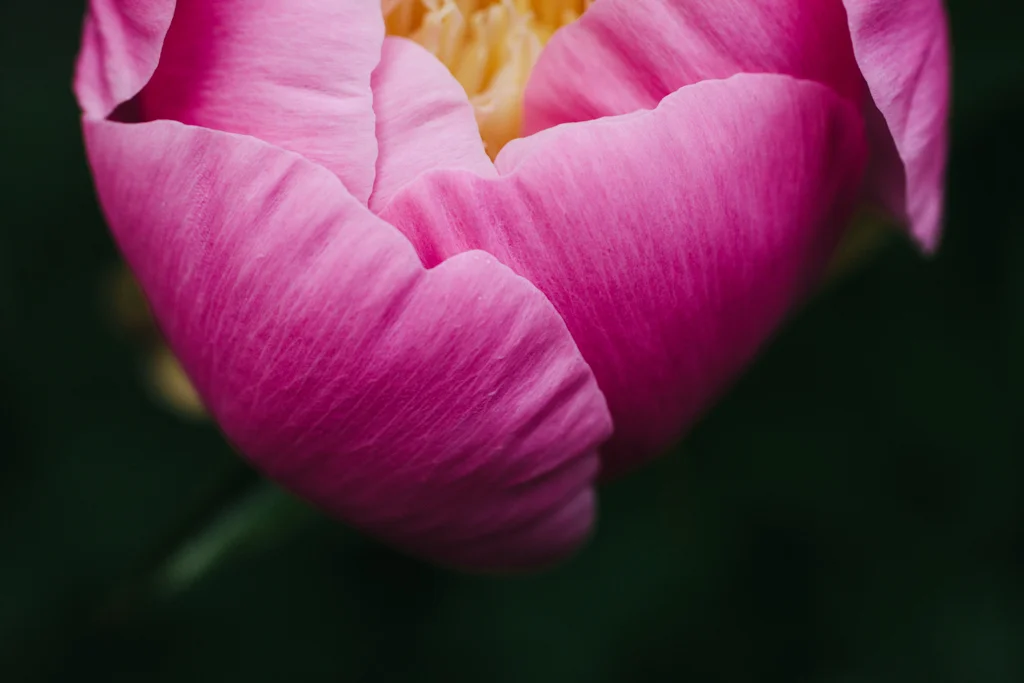 image049.jpg