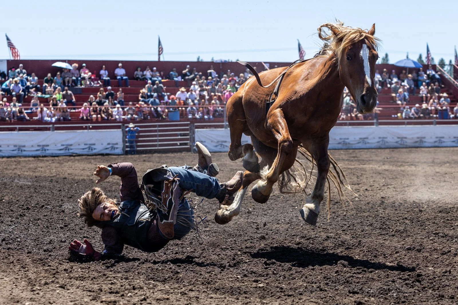 sbc_glenwood_rodeo_sunday_highlights_2026_web-1.jpg