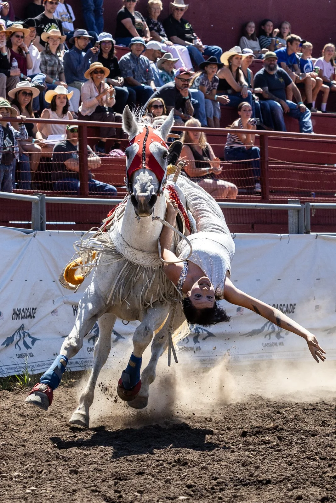 sbc_glenwood_rodeo_sunday_highlights_2026_web-3.jpg