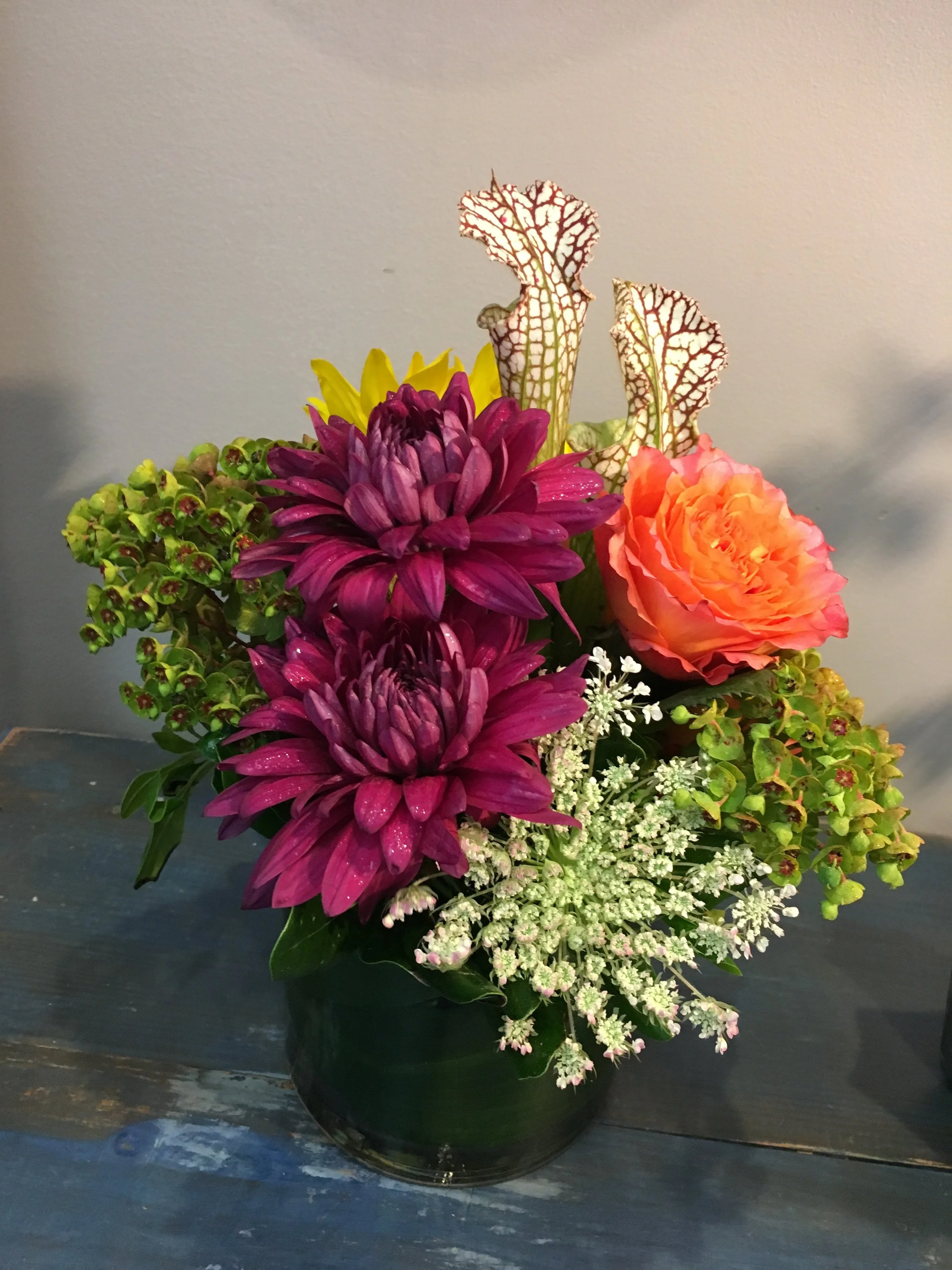 Arrangements — Seagrass Studio