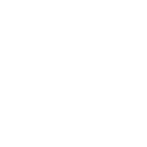 logo-2-w.png