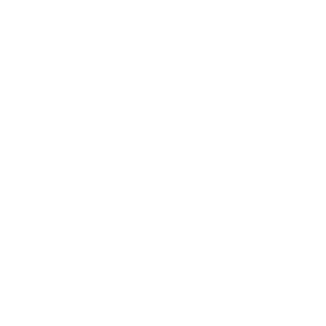 logo-3-w.png