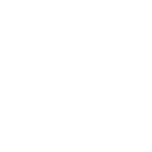 logo-6-w.png