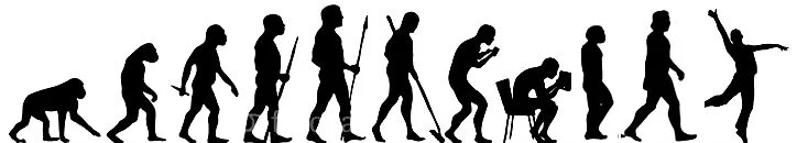 EvolutionSOMA.jpg