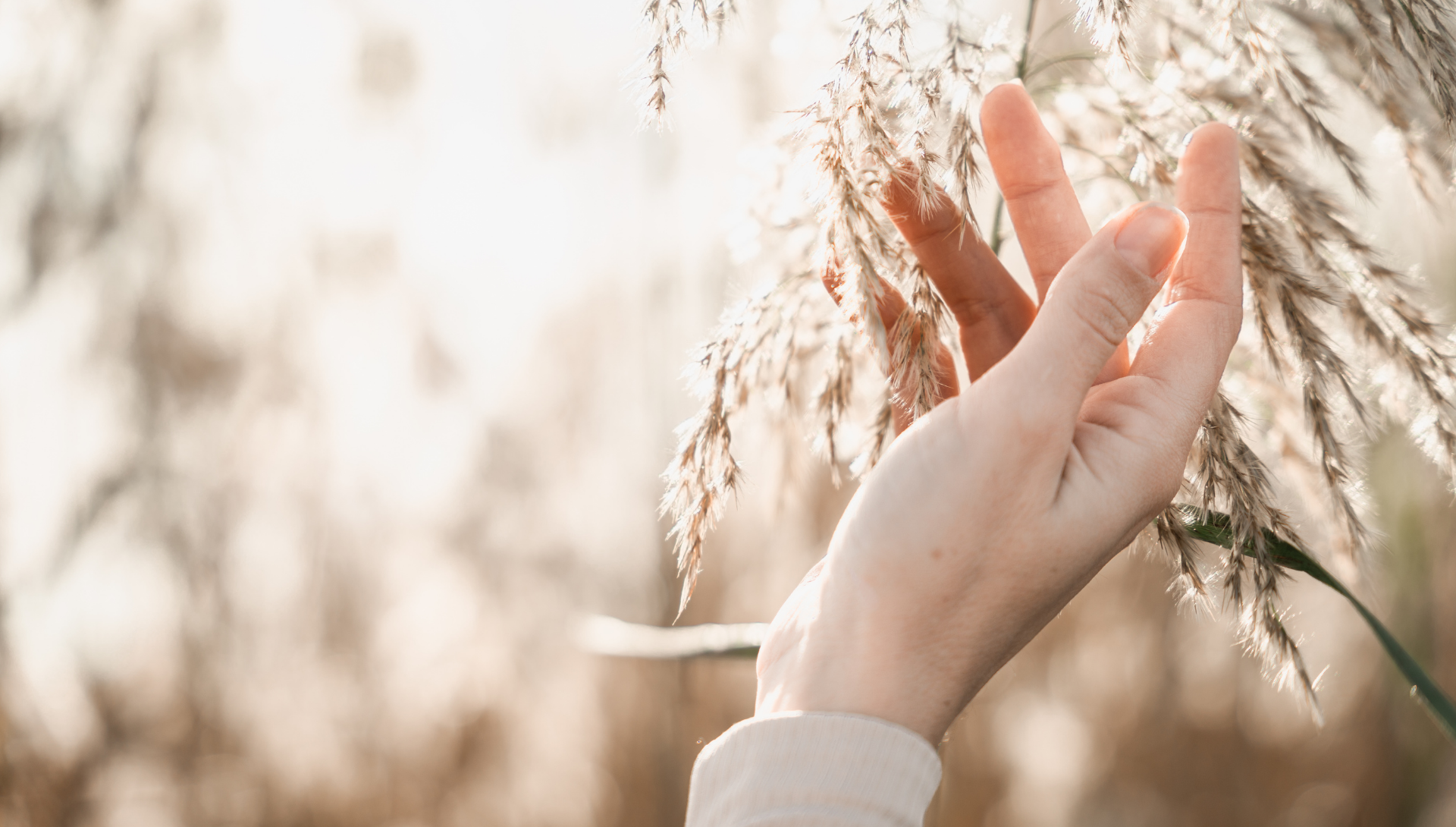 A Ritual for Honoring the Choice to Not Become a Mother