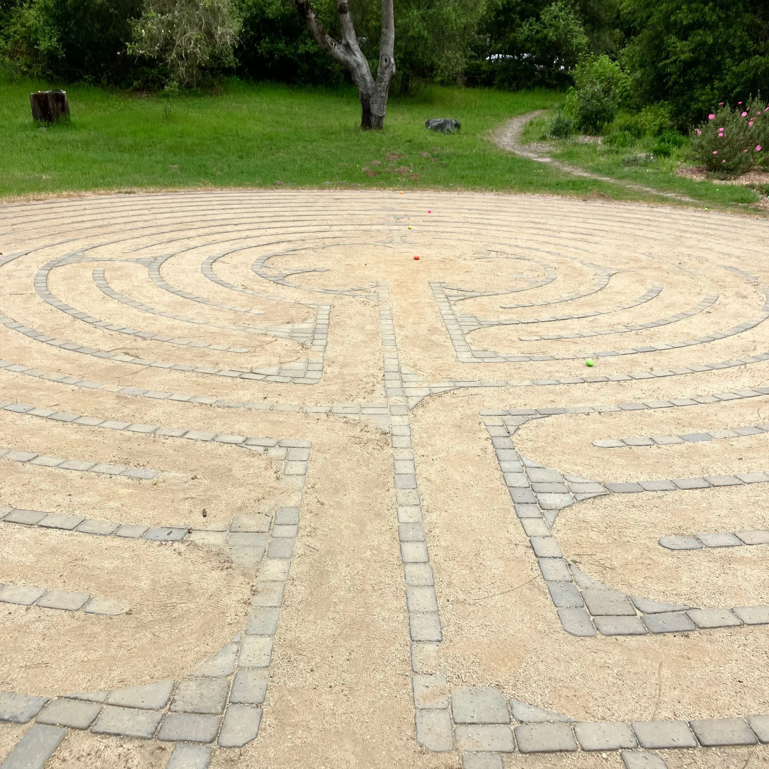 Chartres style Labyrinth