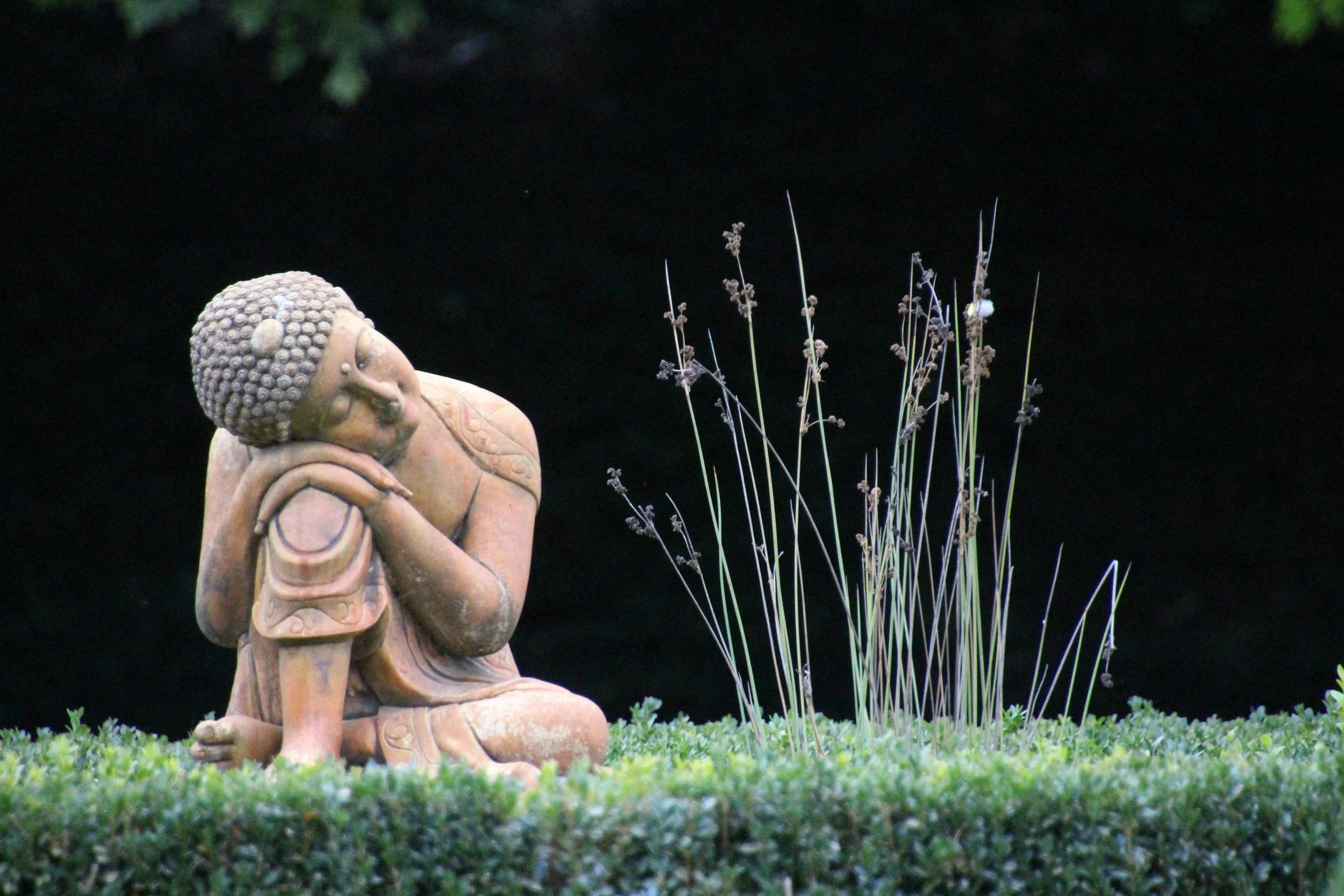 Vipassana Meditation: An Ancient Buddhist Practice