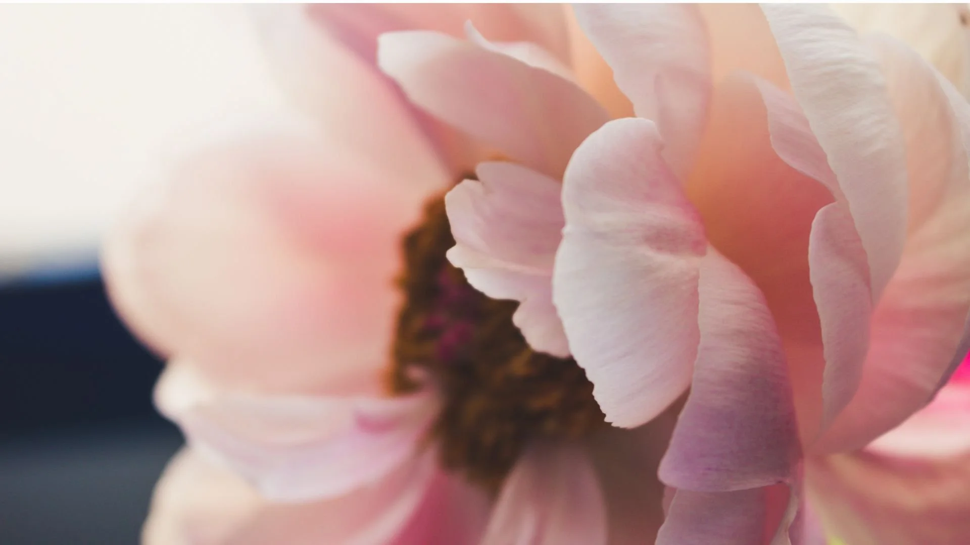 When Conception Doesn’t Happen