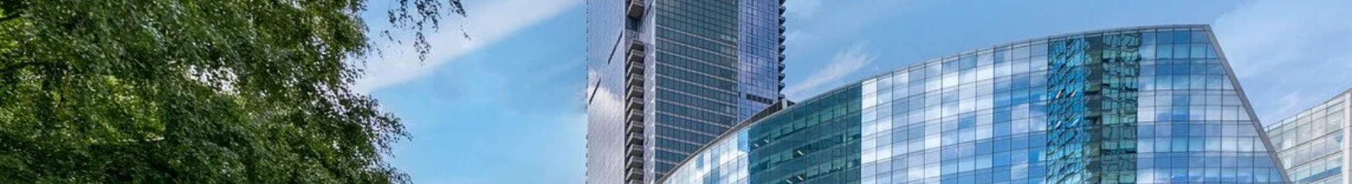 Skyline Tower New York.png
