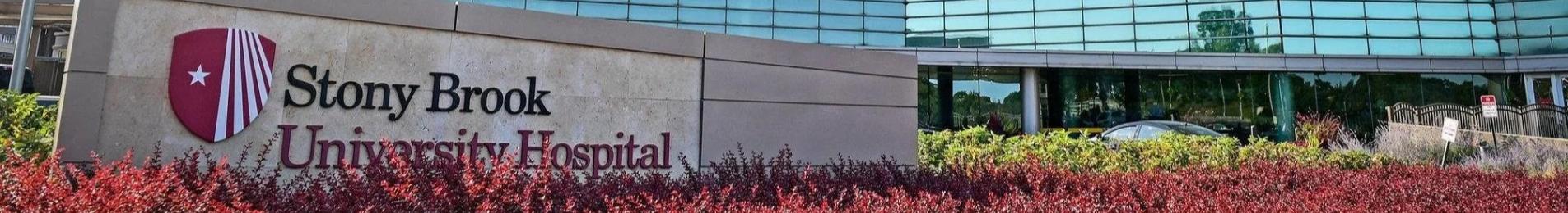 Stony Brook University Hospital.png