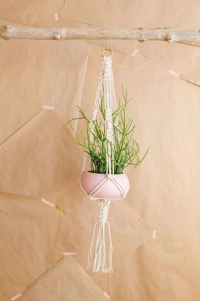 Planter 1.jpg