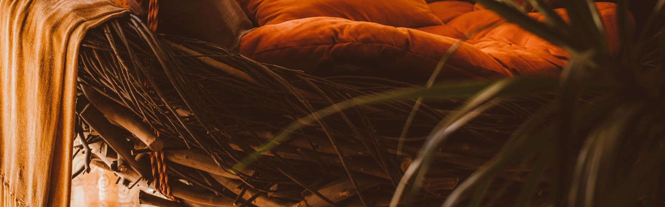 nest swing_2016_00003.jpg