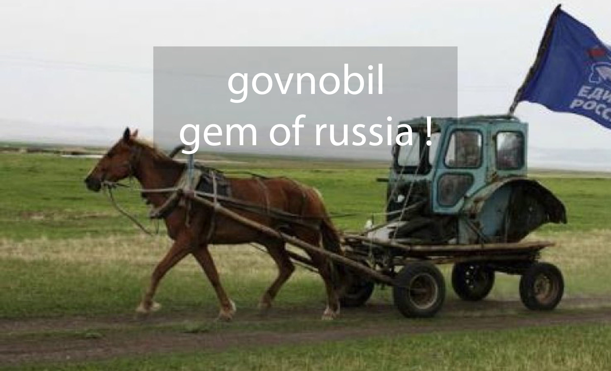 Govnobil Banner 2C.jpg