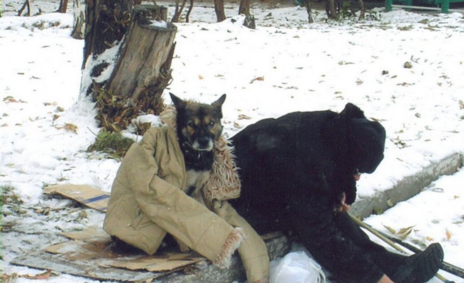 Screen Shot 2016-03-25 at 2.50.30 AM.png