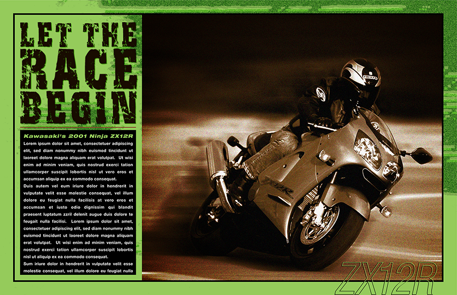 Kawasaki_poster.schatz.png