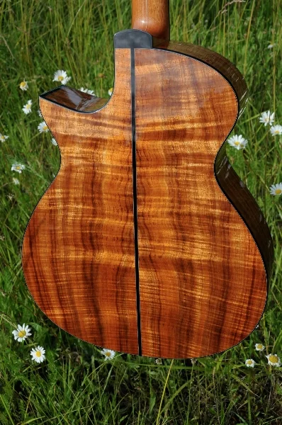 Kraut Guitar Orchestra Model (OM)