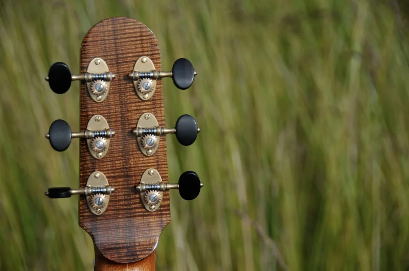 Kraut Guitar Orchestra Model (OM)