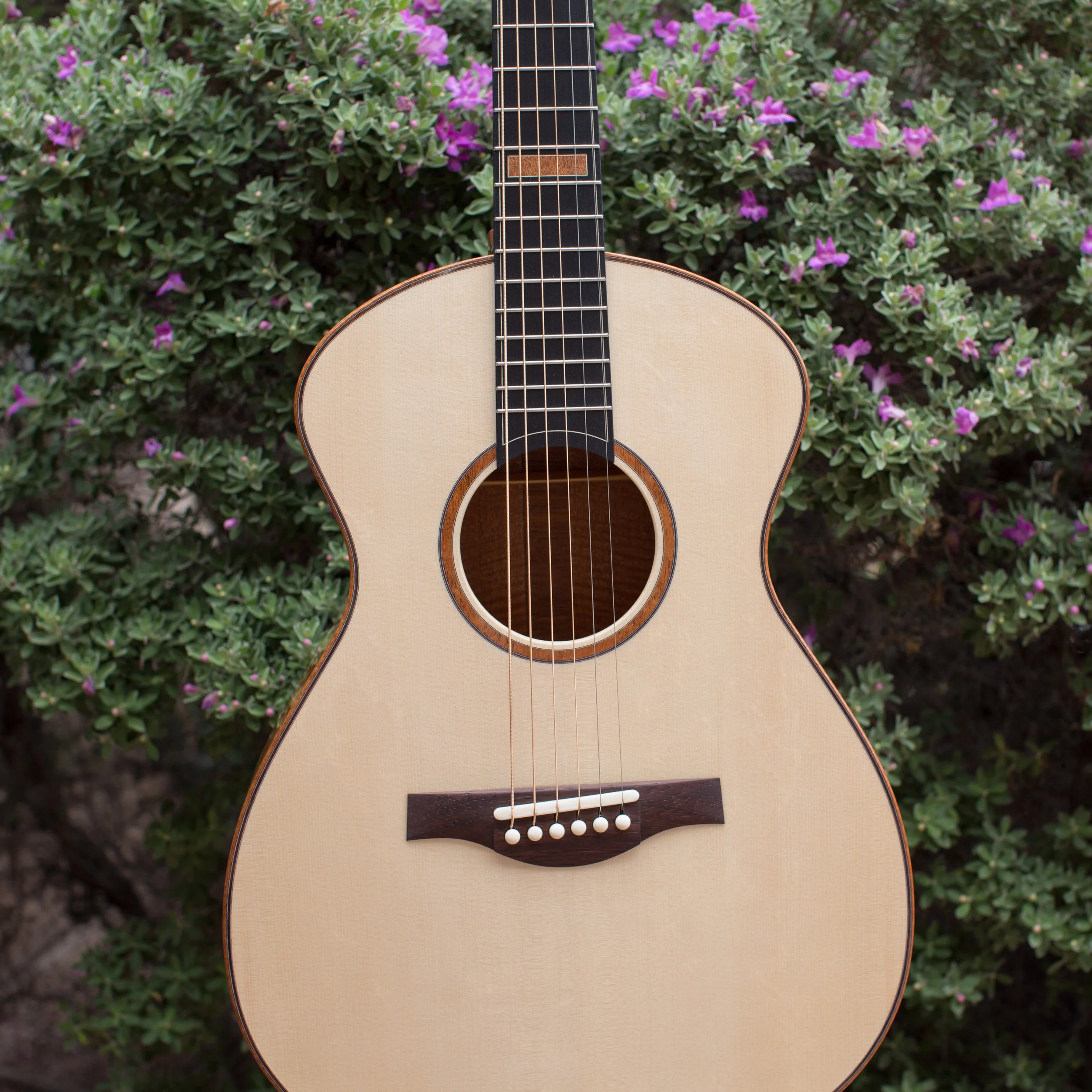 2014 OM Model