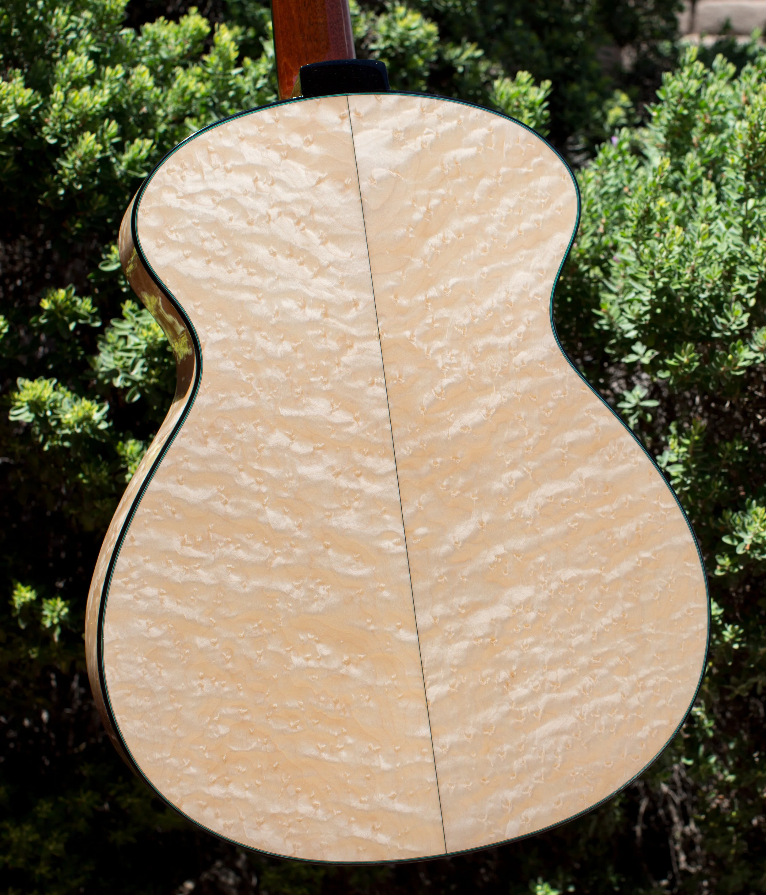 maple-5 copy.jpg