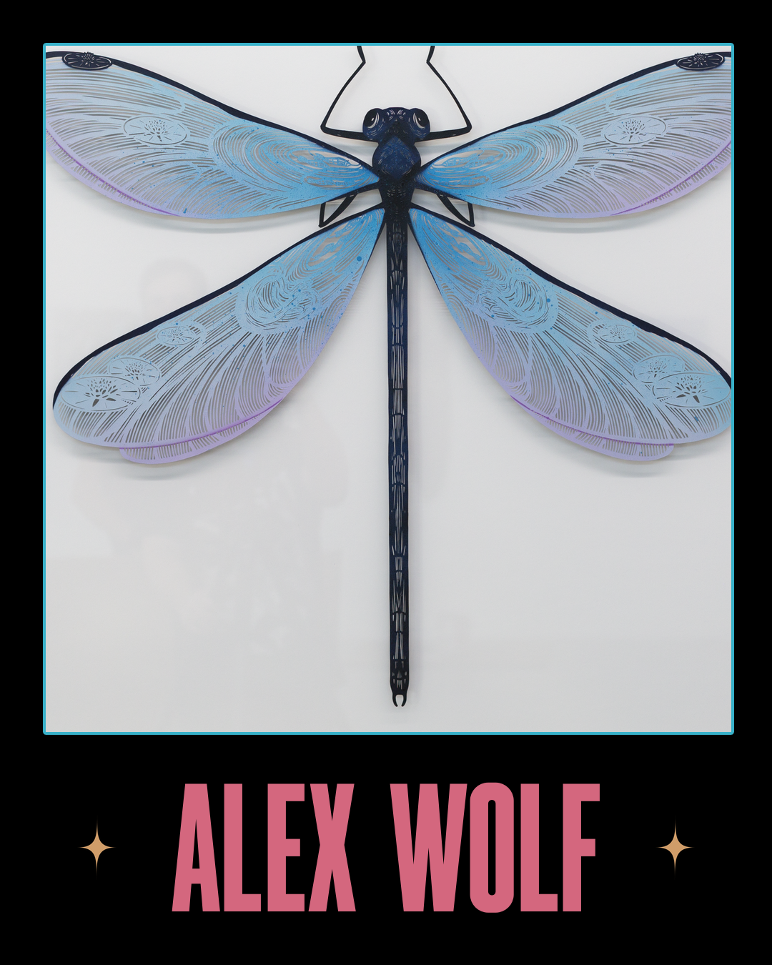 ALEX WOLF.png