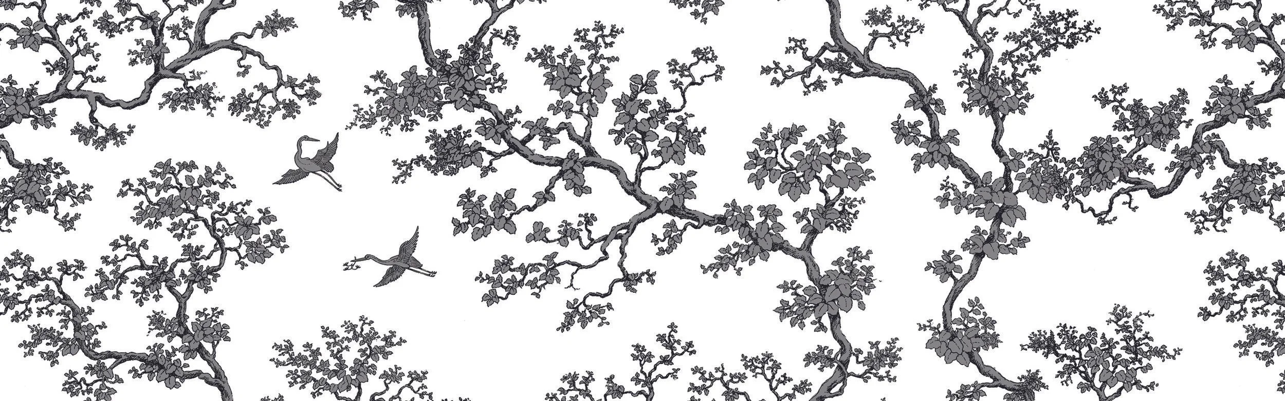 The Cranes - Update image to colour. Marketing text about The Cranes, FB travels etc.