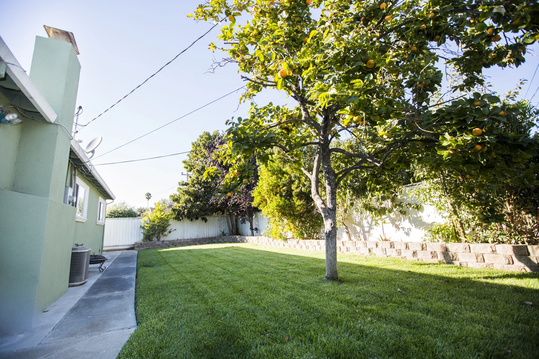 Chris Suen - Banyan_Tree_Road_Fremont-158.jpg