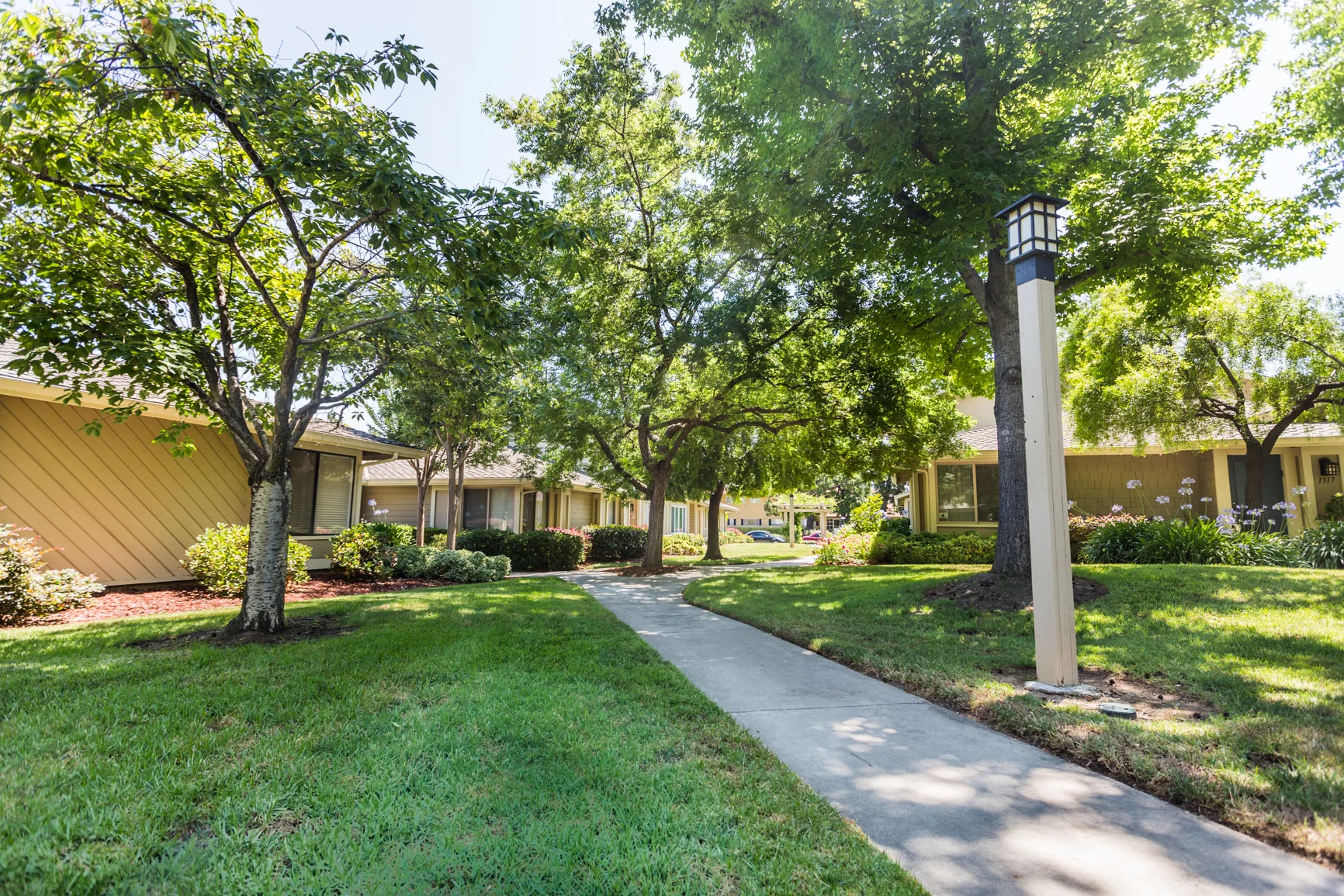 Arbor_Park_Dr-Small-1051.jpg