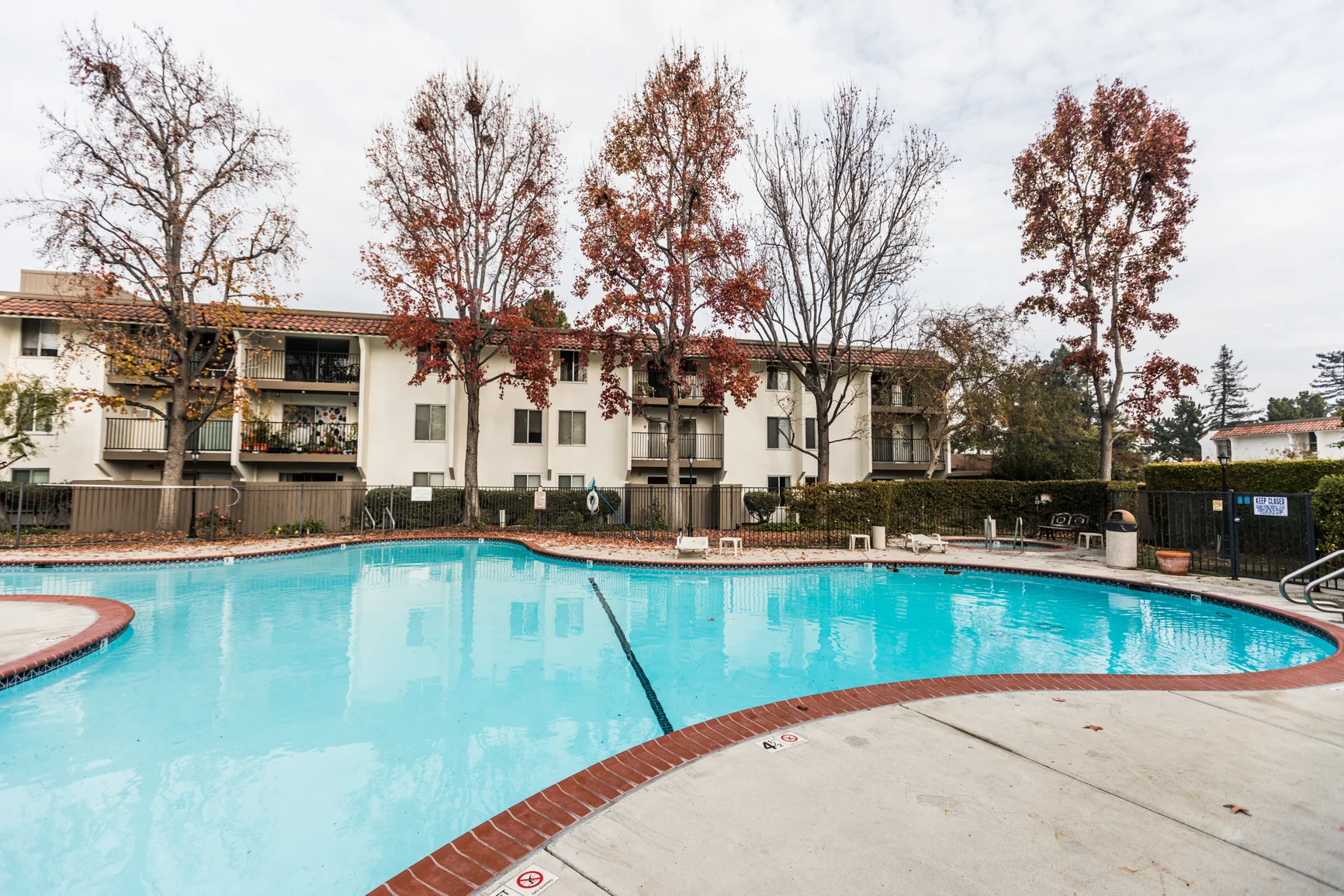 Halford_Ave_Santa_Clara-Small-1032.jpg