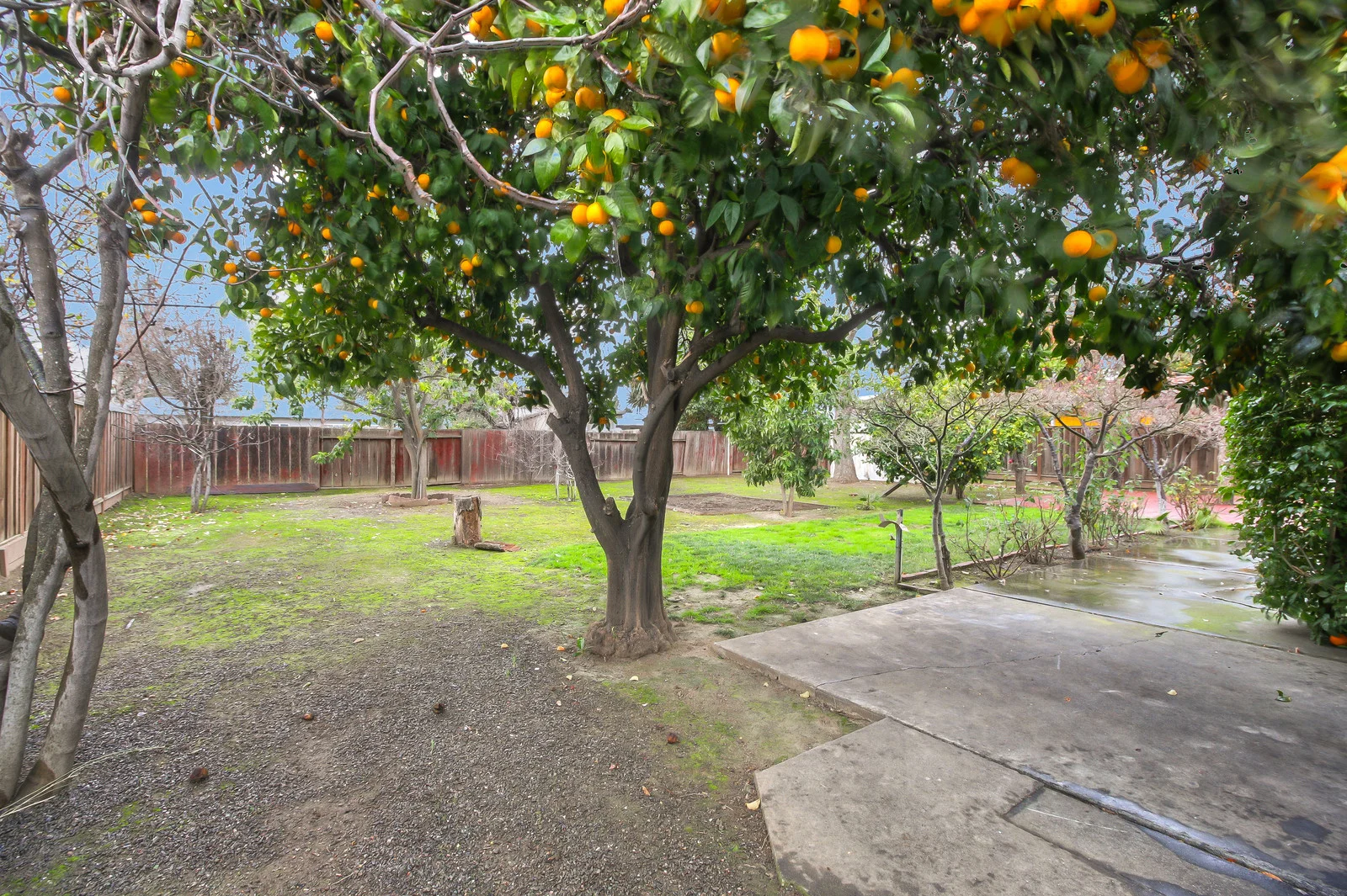 24_F813089_Potts_Drive24_mls.jpg