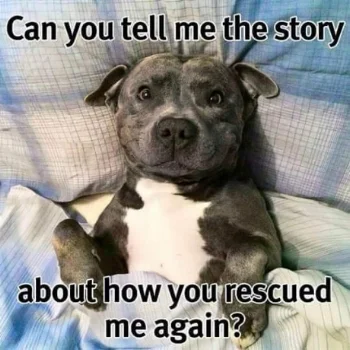 hopeful paws dog rescue