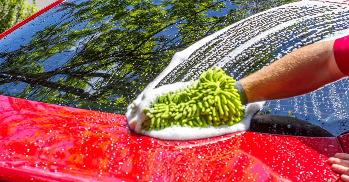 spruce-up-detail.jpg