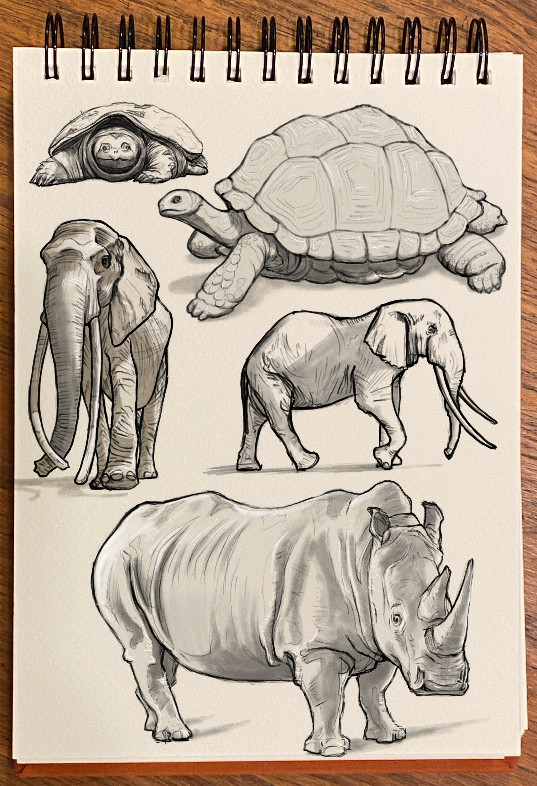 Sketchbook Land Animals 8.01.24.png
